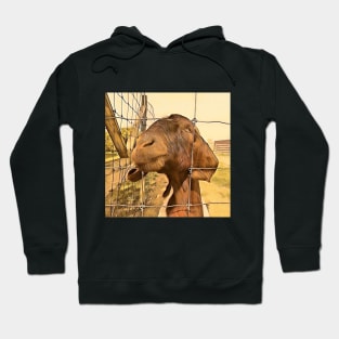 Goat A3 Hoodie